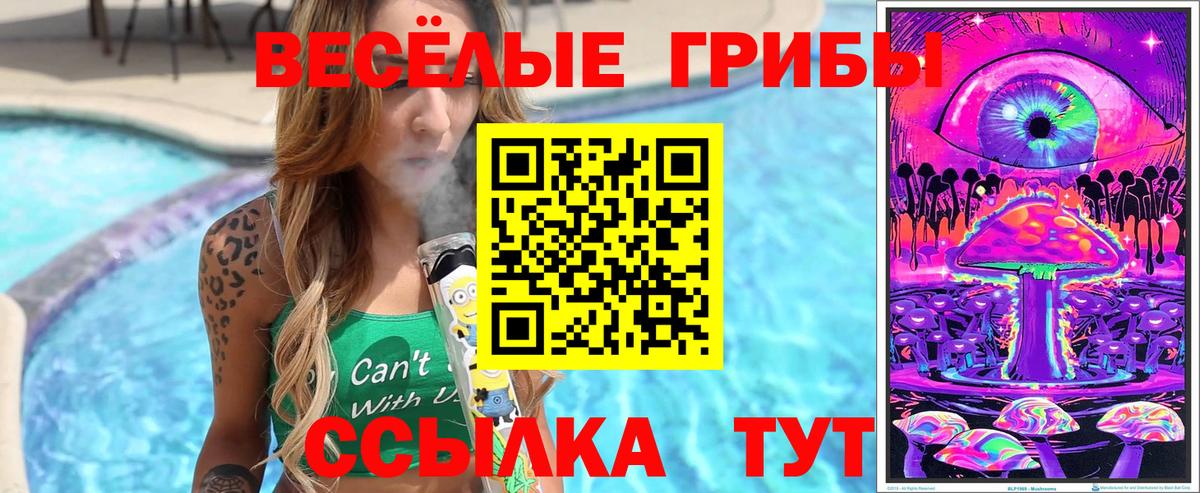 Москва  Псилоцибиновые грибы ЛСД  Вход с VPN  Псилоцибиновые грибы Psilocybe 
