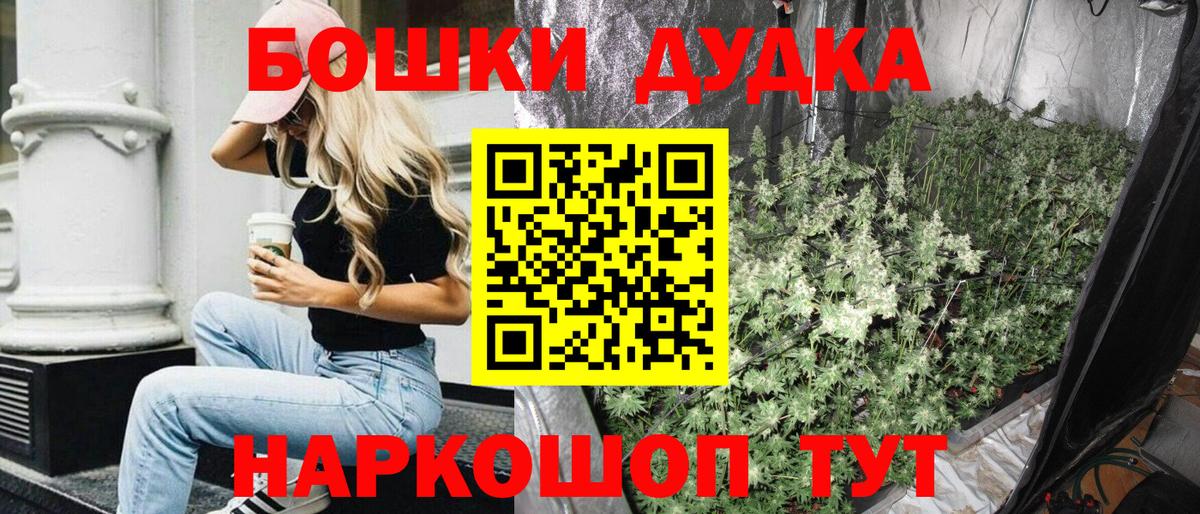 Бошки Шишки планчик Москва